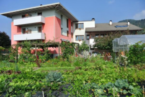 Agriturismo Bortolotti Pergine Valsugana